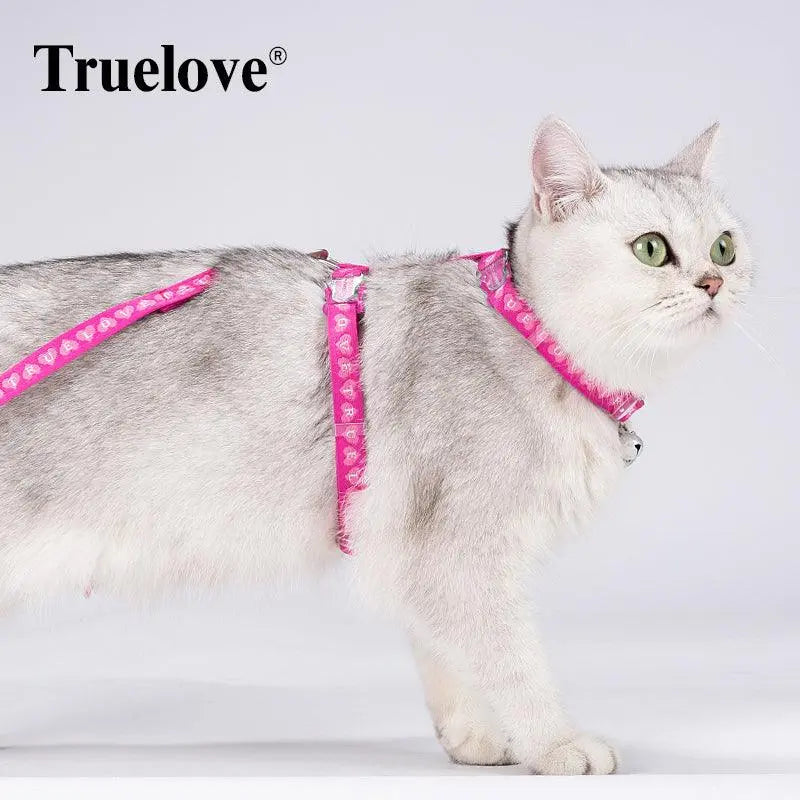 Cat Halters and Leashes | Durable, Adjustable, and Stylish