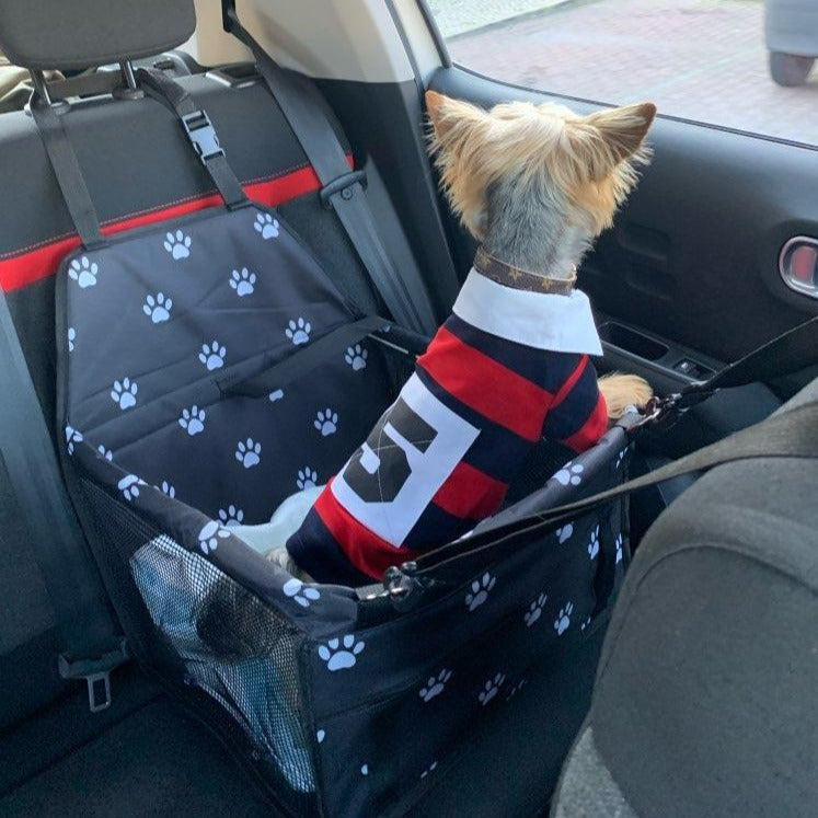 Fami Petcare Car Seat