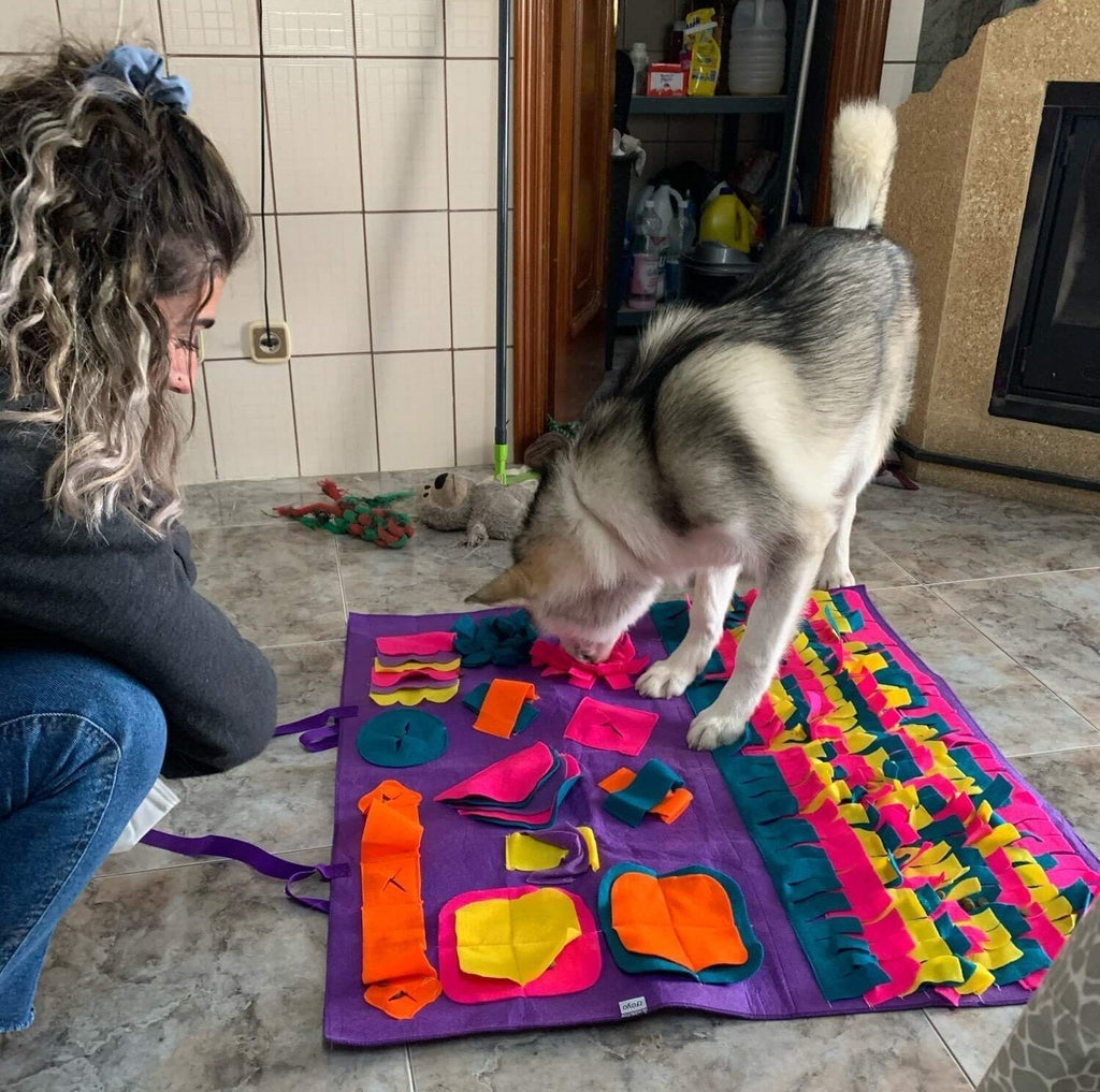 Dog Sniffing Puzzle Mat ( Ultimate Boredom Buster For your Dog