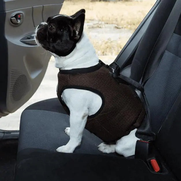 Car Safe Harness for Dogs – Crash-Tested Seat Vest