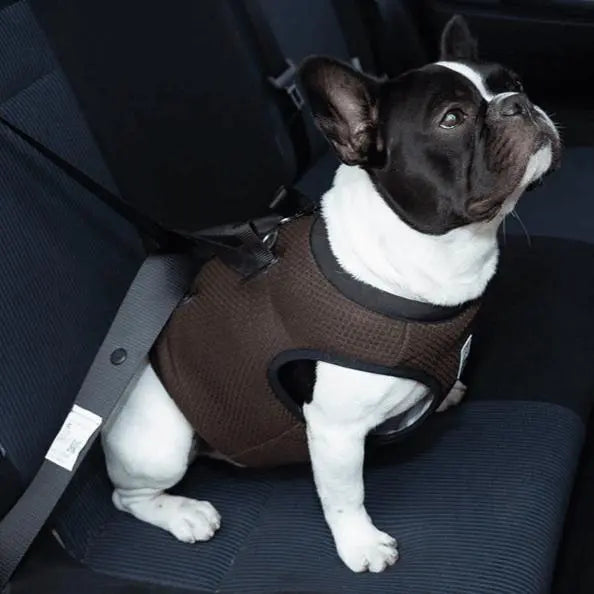 Car Safe Harness for Dogs – Crash-Tested Seat Vest
