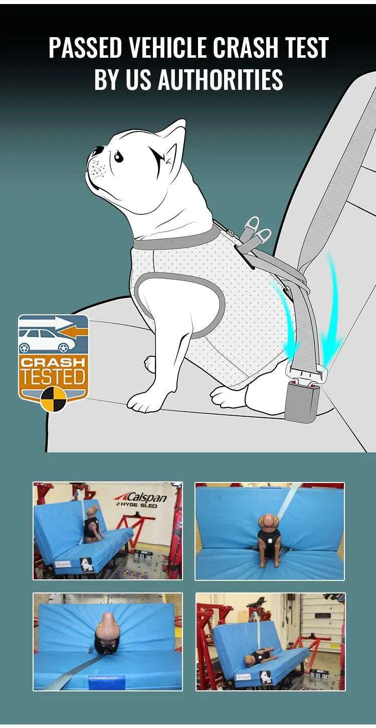 Car Safe Harness for Dogs – Crash-Tested Seat Vest