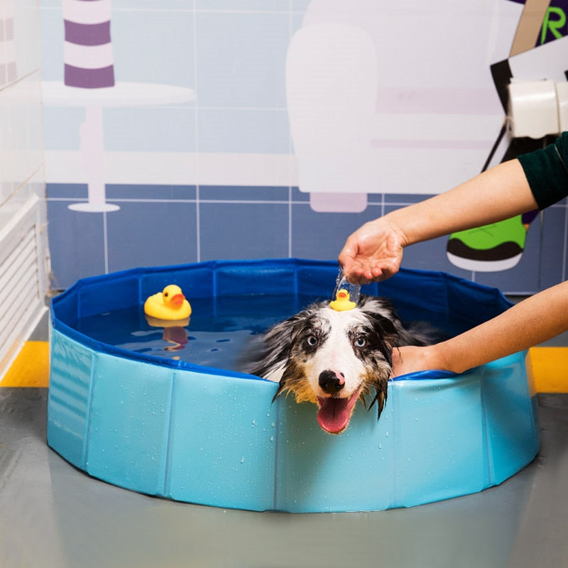 Foldable Dog Bath Pool By Fami Petcare