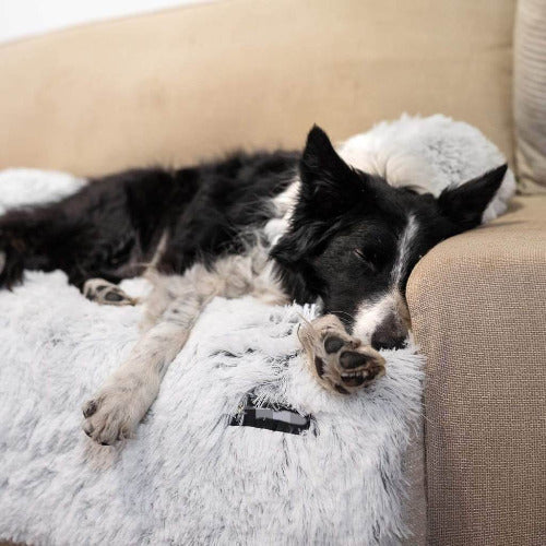 Sofa Bed (Furniture Protector