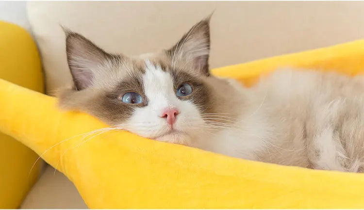 PetCare Soft Banana Shaped Cat Bed