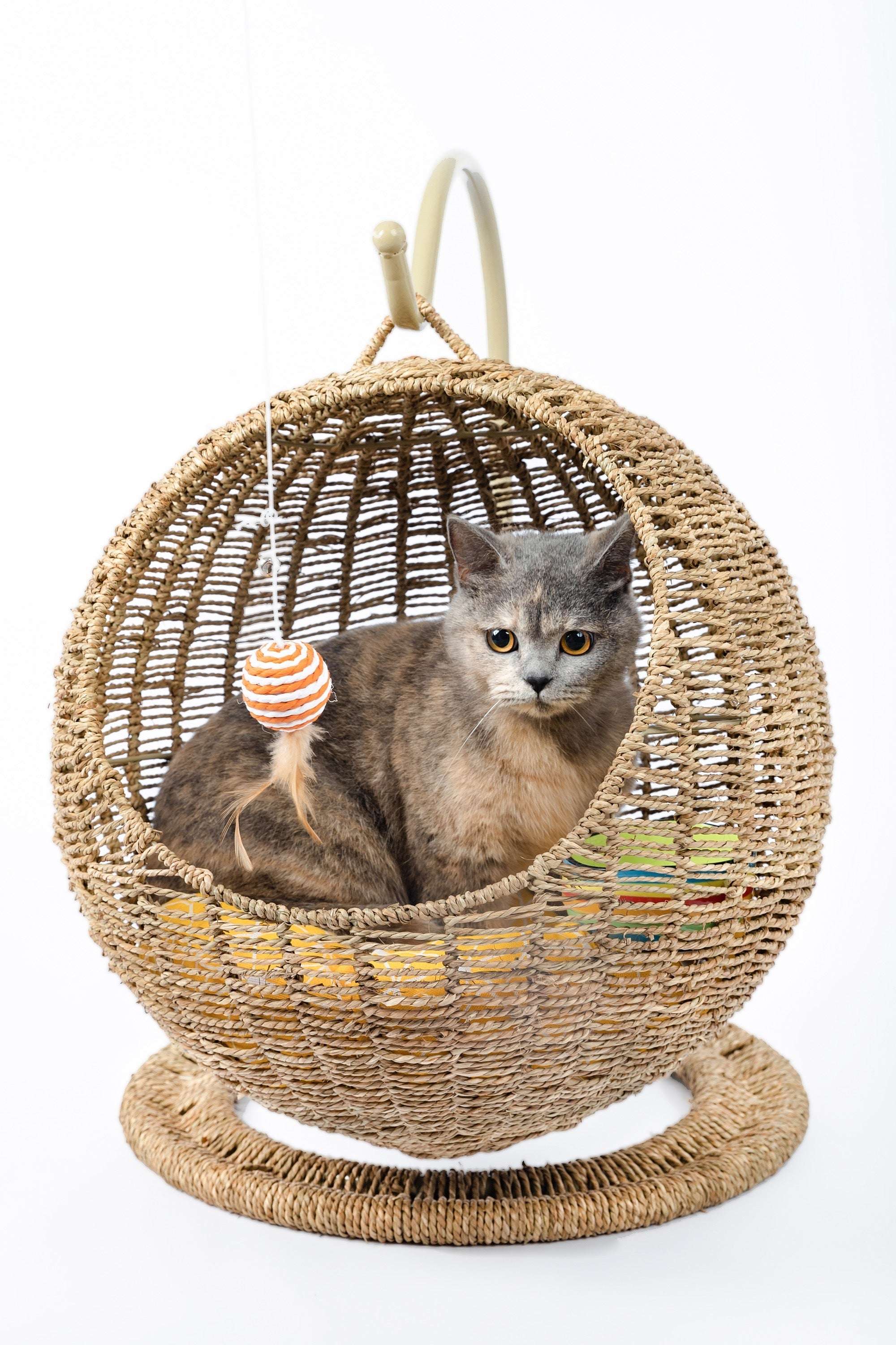 Hanging Cat Bed | Woven Round Pet Basket