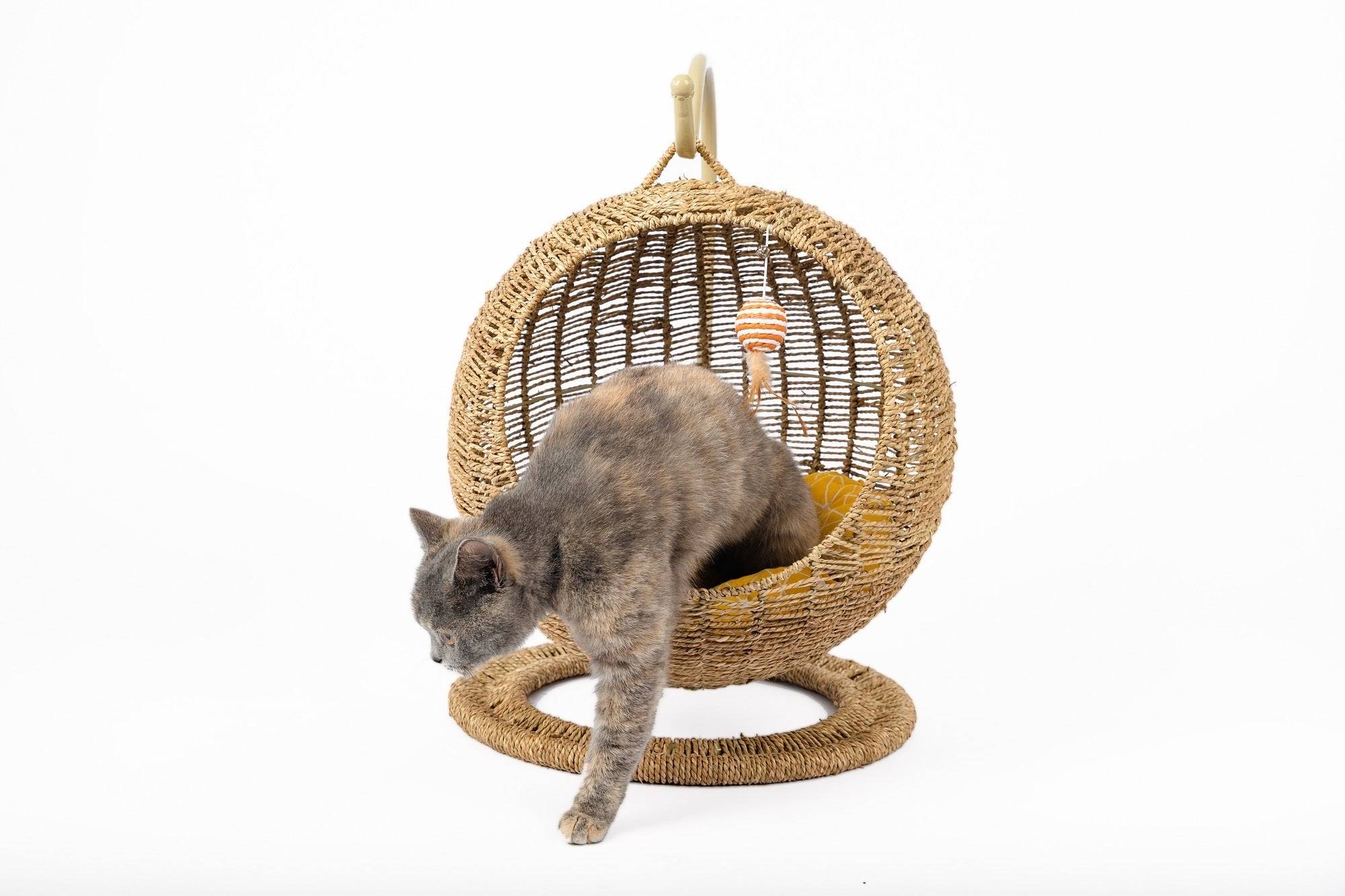 Hanging Cat Bed | Woven Round Pet Basket