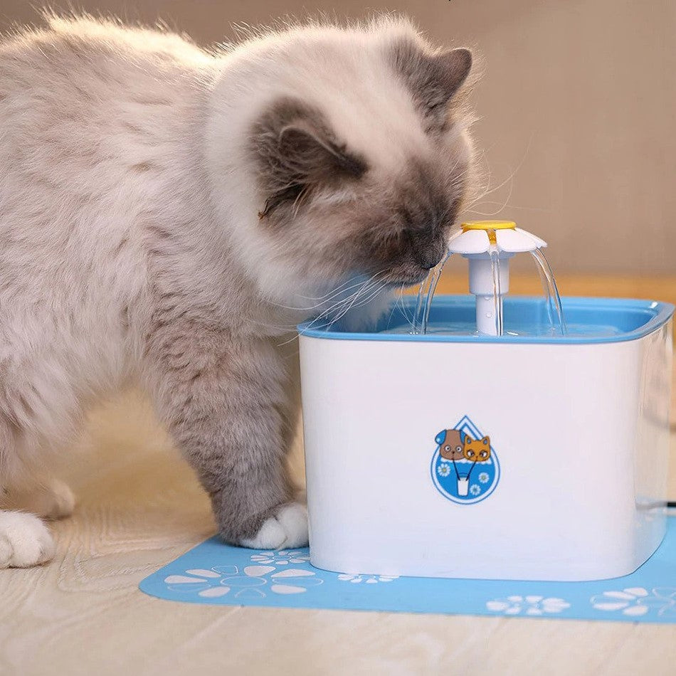 Pet Automatic Water Fountain Dispenser