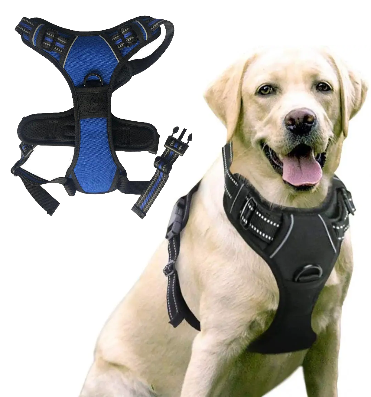 Y-shape Dog