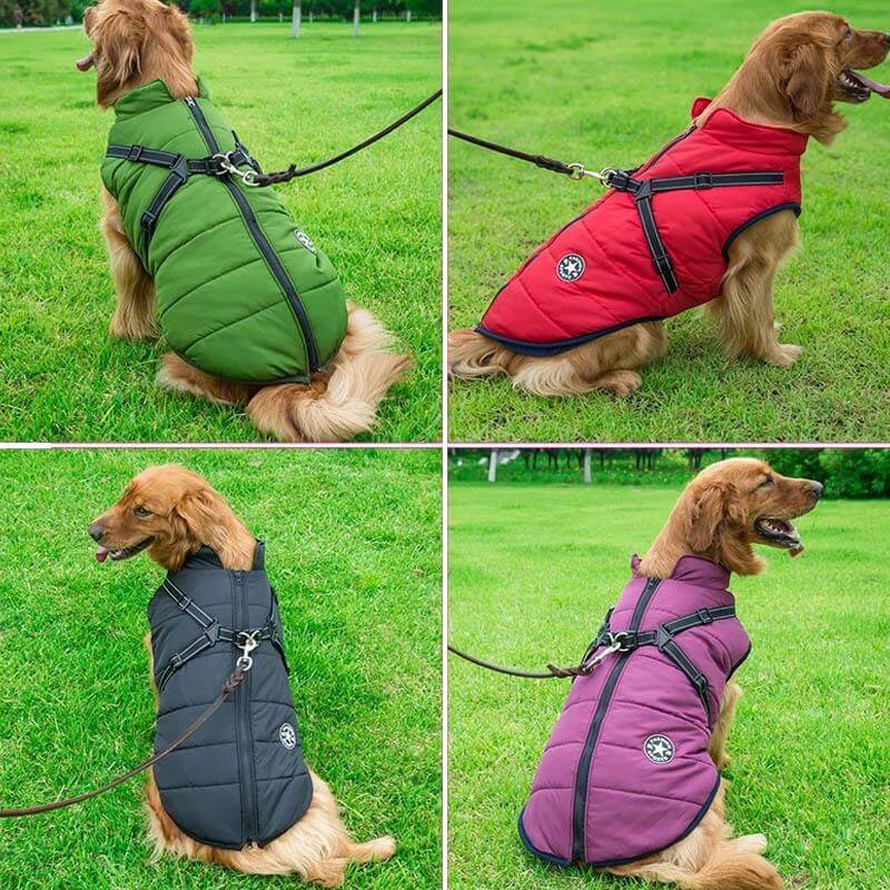 Petcare Dog Winter Jacket