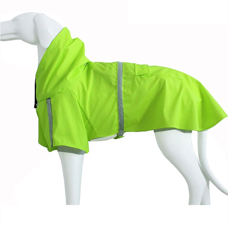 Dog Rain Coat