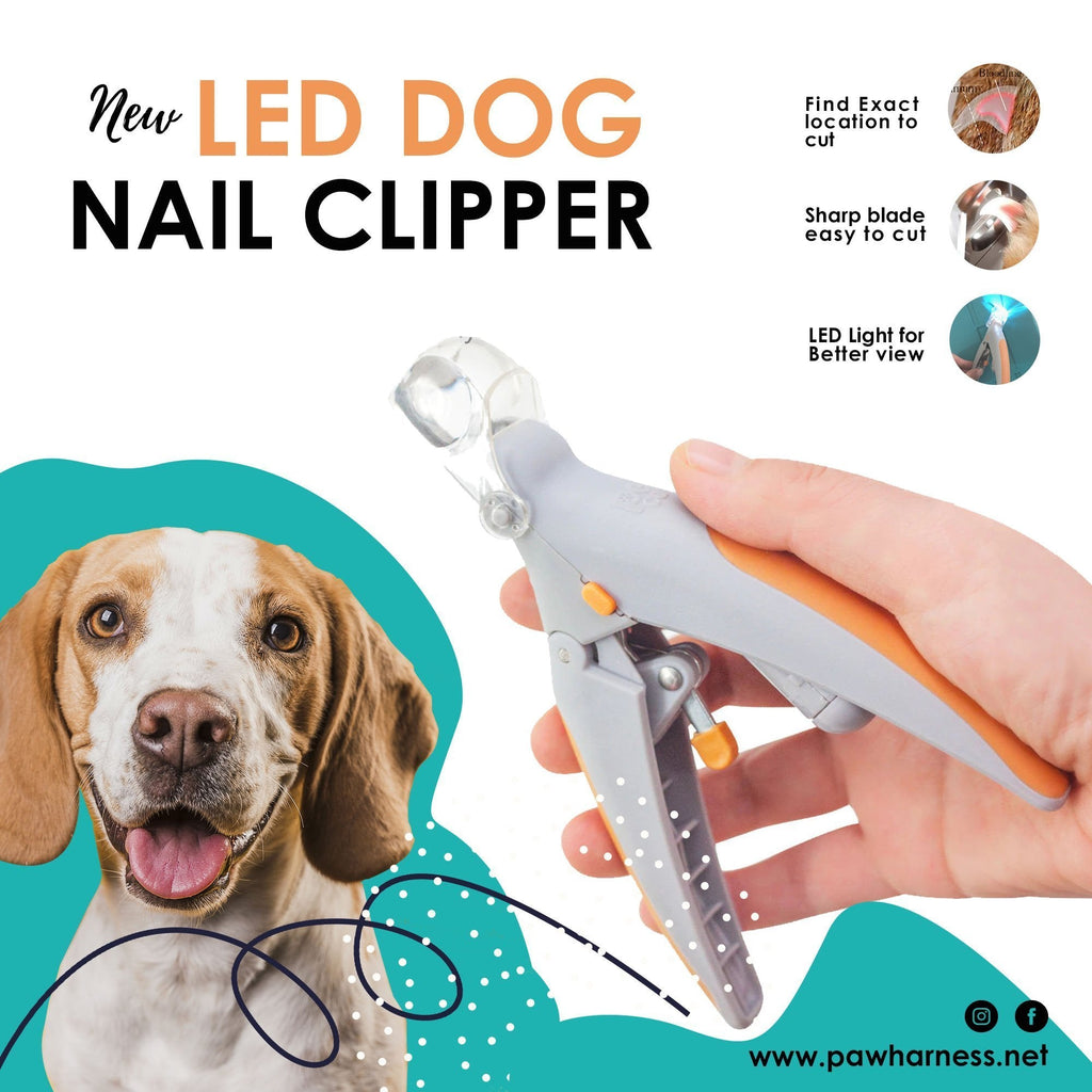 LED Dog Nail Clipper