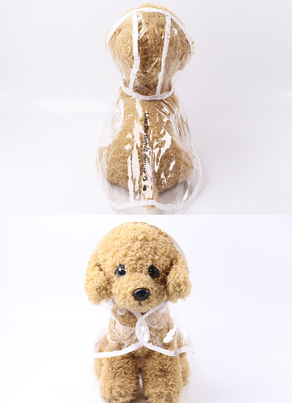 PetCare Transparent Raincoat for Dogs