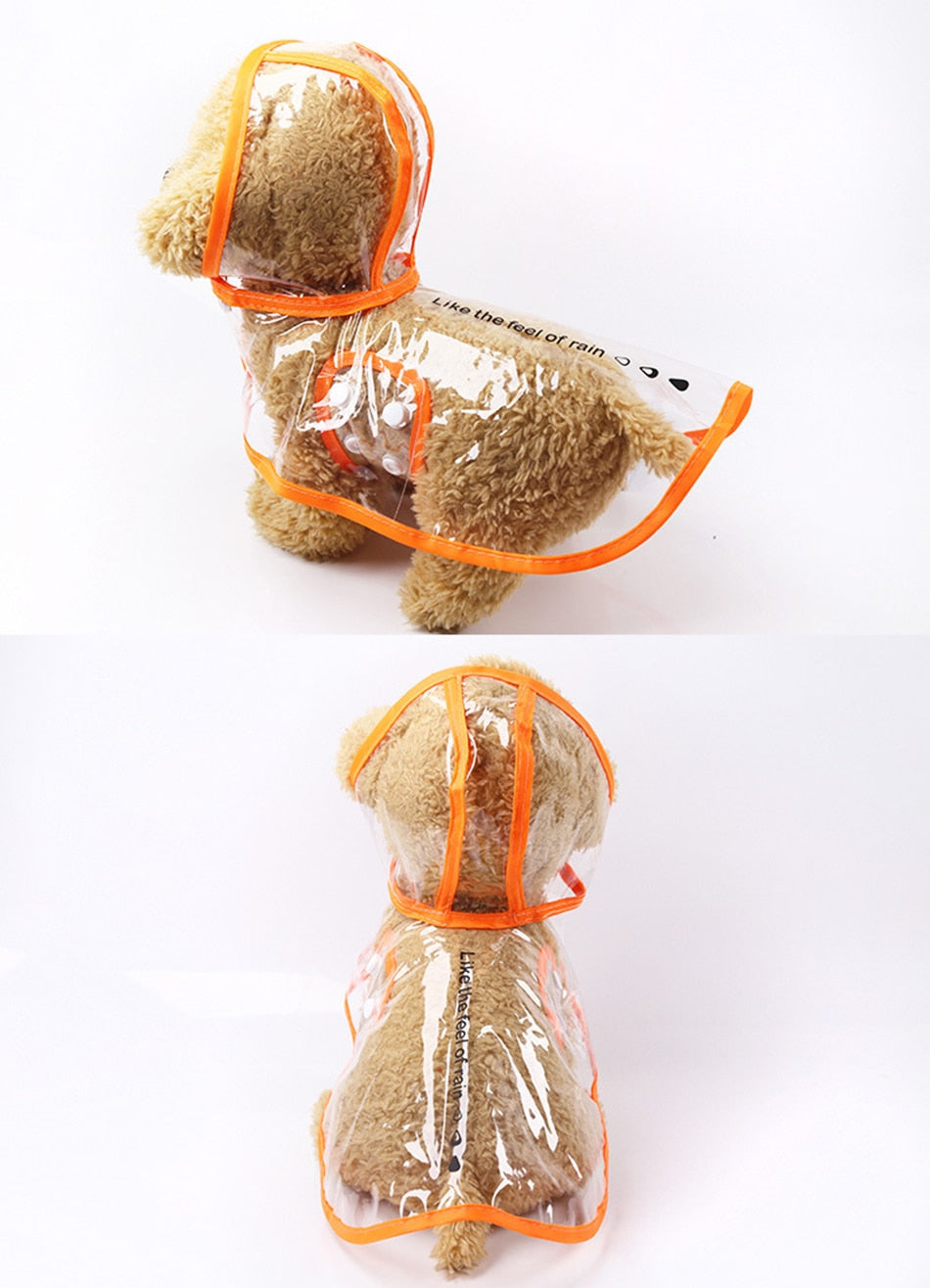 PetCare Transparent Raincoat for Dogs