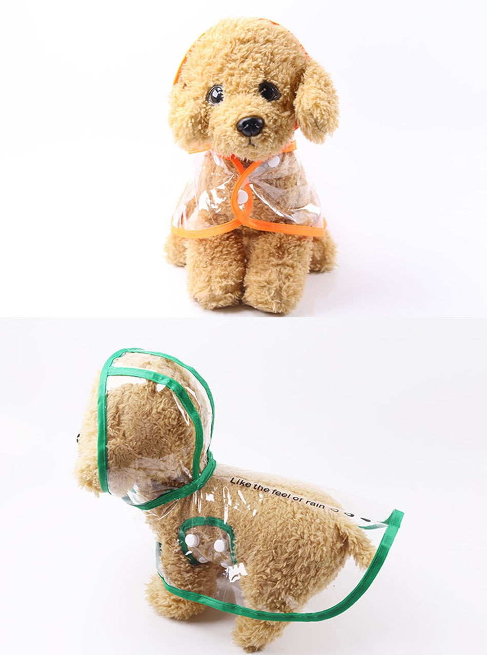 PetCare Transparent Raincoat for Dogs