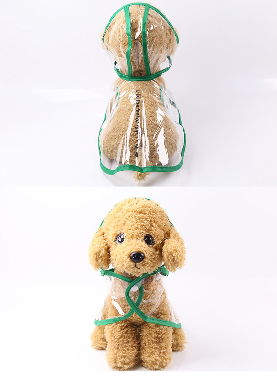PetCare Transparent Raincoat for Dogs