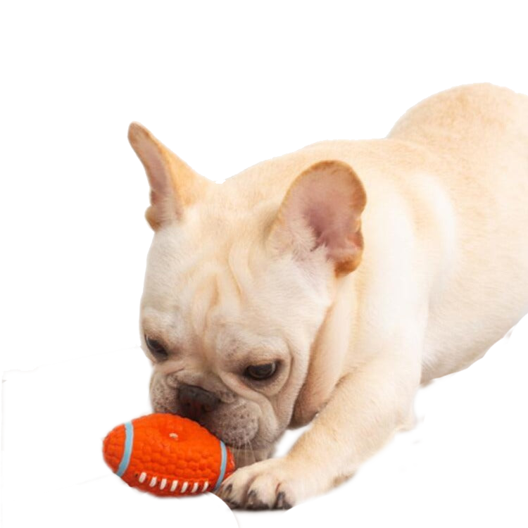 Pet Dogs Toys Sounding Chewing Squeaky Toy for Dogs