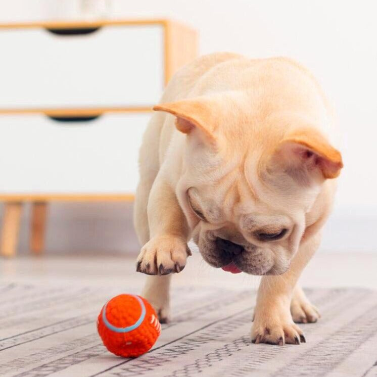 Pet Dogs Toys Sounding Chewing Squeaky Toy for Dogs