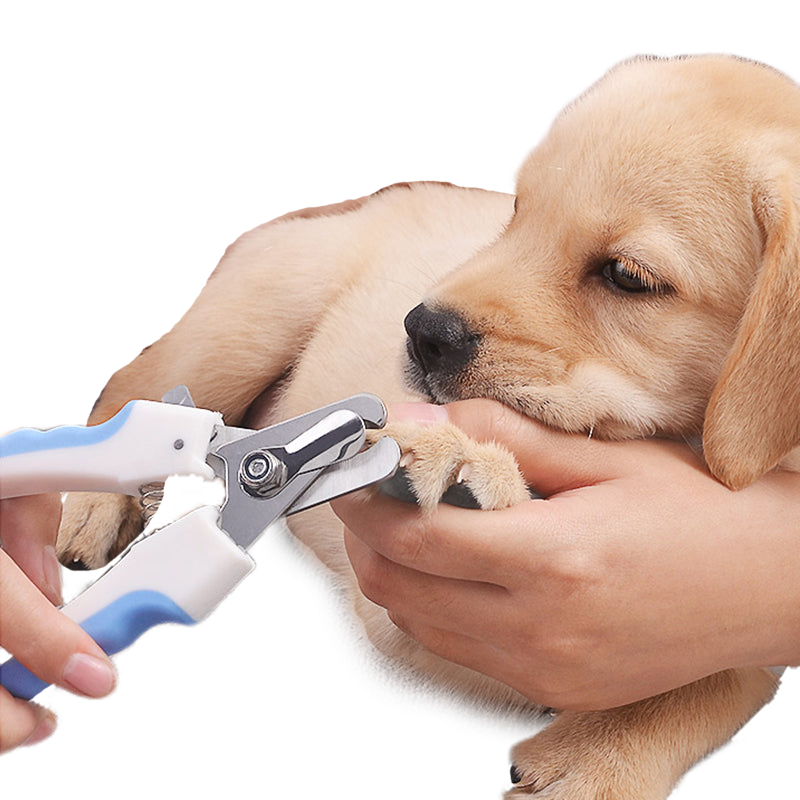 Fami Petcare Nail Clippers