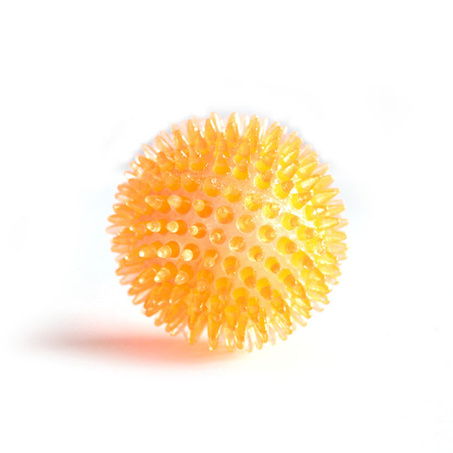 Fami Petcare Spiky Squeaker Ball