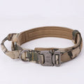 Fami Petcare Heavy Duty Collar & Bungee Leash