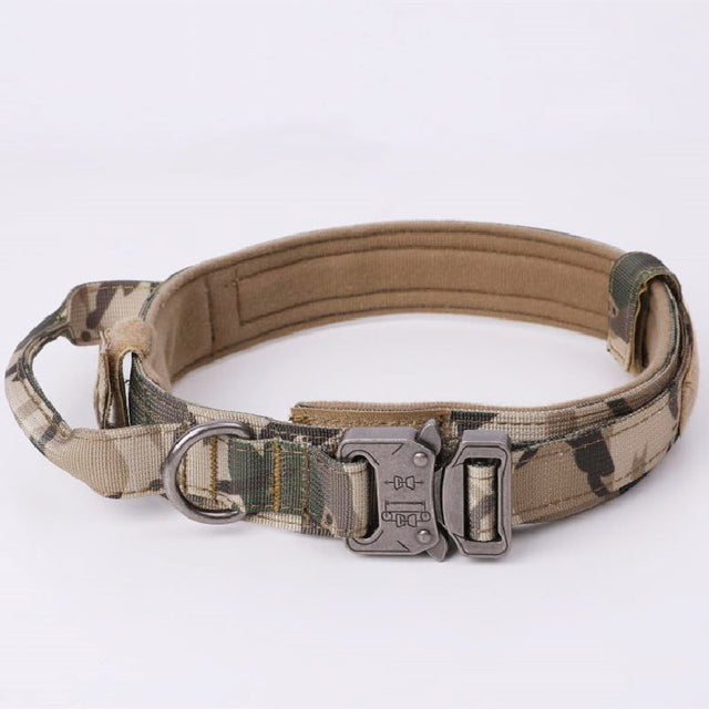 Fami Petcare Heavy Duty Collar & Bungee Leash