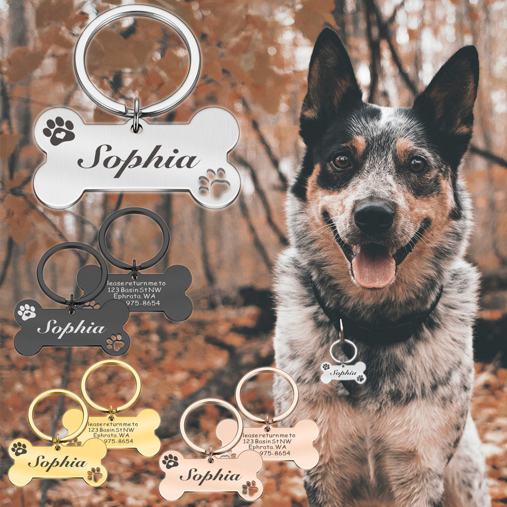 Fami Petcare Personalized ID Tag