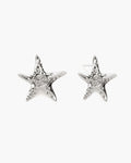Starfish Stud Earrings in Silver